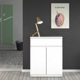 Naia White Gloss 2 Door Cabinet