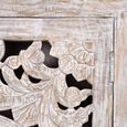 Quintana Cupboard - Washed Carved - Mango Wood - 2 Door