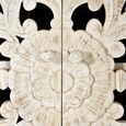 Quintana Hall Cabinet - Washed Carved - Mango Wood - 2 Door