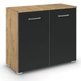 Aditio Cupboard - 2 Door - Artisan Oak & Metallic Dark Grey