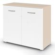 Rauch Aditio 2 Door Cupboard - Champagne and Alpine White