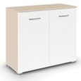 Rauch Aditio 2 Door Cupboard - Champagne and Alpine White