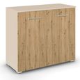 Rauch Aditio 2 Door Cupboard - Champagne and Artisan Oak
