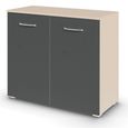 Rauch Aditio 2 Door Cupboard - Champagne and Metallic Dark Grey