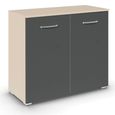 Rauch Aditio 2 Door Cupboard - Champagne and Metallic Dark Grey