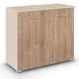 Rauch Aditio 2 Door Cupboard - Champagne and Sonoma Oak