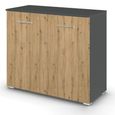 Rauch Aditio 2 Door Cupboard - Metallic Dark Grey and Artisan Oak
