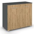 Rauch Aditio 2 Door Cupboard - Metallic Dark Grey and Artisan Oak