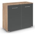 Rauch Aditio 2 Door Cupboard - Sonoma Oak and Metallic Dark Grey