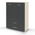 Rauch Aditio 2 Door Cupboard with 2 Bottom Drawer - Champagne and Metallic Dark Grey