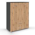 Rauch Aditio 2 Door Cupboard with 2 Bottom Drawer - Metallic Dark Grey and Artisan Oak