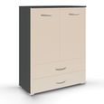 Rauch Aditio 2 Door Cupboard with 2 Bottom Drawer - Metallic Dark Grey and Champagne