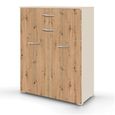 Rauch Aditio 2 Door Cupboard with 2 Top Drawer - Champagne and Artisan Oak
