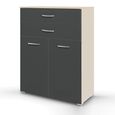 Rauch Aditio 2 Door Cupboard with 2 Top Drawer - Champagne and Metallic Dark Grey