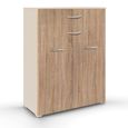 Rauch Aditio 2 Door Cupboard with 2 Top Drawer - Champagne and Sonoma Oak