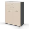 Rauch Aditio 2 Door Cupboard with 2 Top Drawer - Metallic Dark Grey and Champagne