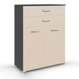 Rauch Aditio 2 Door Cupboard with 2 Top Drawer - Metallic Dark Grey and Champagne