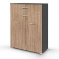 Rauch Aditio 2 Door Cupboard with 2 Top Drawer - Metallic Dark Grey and Sonoma Oak
