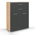 Rauch Aditio 2 Door Cupboard with 2 Top Drawer - Sonoma Oak and Metallic Dark Grey