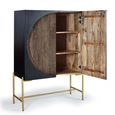 Refton Cupboard - Carved - Dark Mango Wood - 2 Door