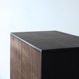 Venedocia Hall Cabinet - 2 Door - Mango Wood