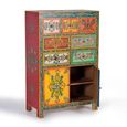 Wauzeka Hall Cabinet - Multicolor - Mango Wood - Painted - 2 Door