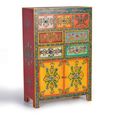 Wauzeka Hall Cabinet - Multicolor - Mango Wood - Painted - 2 Door