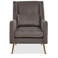 Doucet Armchair - Grey Velvet Fabric with Gold Legs