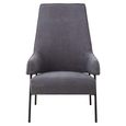 Henia Armchair - Ash Velvet Fabric