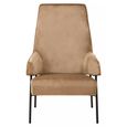 Henia Armchair - Mink Velvet Fabric