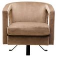 Hestia Armchair - Swivel - Mink Velvet Fabric