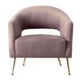 Clearance - Juneau Armchair - Dusky Velvet - D27