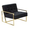 Azalea Lounge Chair - Black Velvet Fabric with Gold Metal Frame