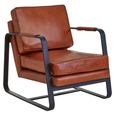 Buffalo Armchair - Tan - Leather with Black Metal