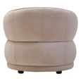 Darla Chair - Curved - Stone Velvet Fabric