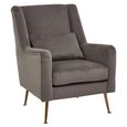 Doucet Armchair - Grey Velvet Fabric with Gold Legs