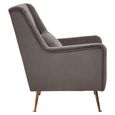 Doucet Armchair - Grey Velvet Fabric with Gold Legs