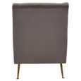 Doucet Armchair - Grey Velvet Fabric with Gold Legs