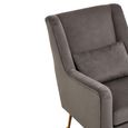 Doucet Armchair - Grey Velvet Fabric with Gold Legs