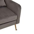 Doucet Armchair - Grey Velvet Fabric with Gold Legs