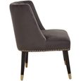 Doucet Chair - Grey Velvet Fabric