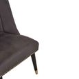 Doucet Chair - Grey Velvet Fabric