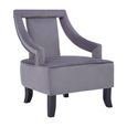 Faye Armchair - Grey Velvet Fabric