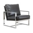 Febo Occasional Chair - Leather - Variation Available