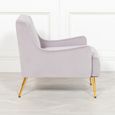 Accent Armchair - Grey Velvet