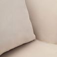 Hale Lounge Chair - Swivel - Cream Velvet Fabric