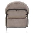 Haya Retro Chair - Mink Velvet Fabric