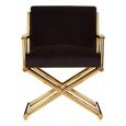 Hendricks Chair - Black Velvet Fabric with Gold Metal