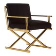 Hendricks Chair - Black Velvet Fabric with Gold Metal