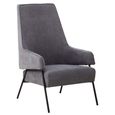 Henia Armchair - Ash Velvet Fabric